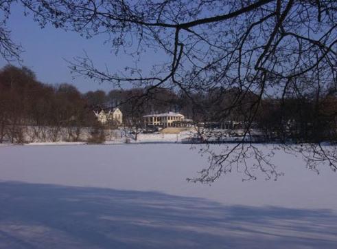 Hotel Villa Im Steinbusch Malente Exteriör bild